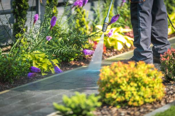 Best Parking Lot Cleaning in Schler Park, IL