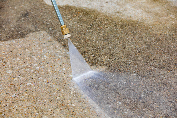 Best Driveway Cleaning and Restoration in Schler Park, IL