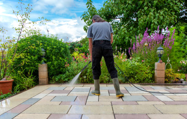 Best Gutter Cleaning and Brightening in Schler Park, IL