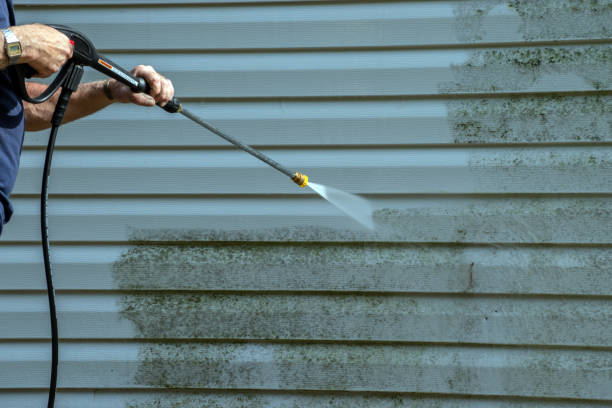 Best Building Exterior Pressure Washing in Schler Park, IL