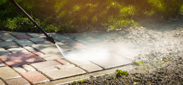 Best Roof Cleaning and Mildew Removal in Schler Park, IL