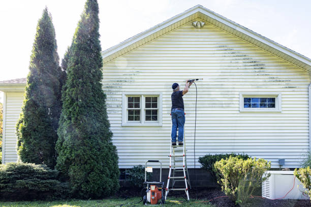 Best Fence Cleaning and Maintenance in Schler Park, IL