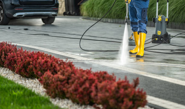 Best Concrete Surface Cleaning in Schler Park, IL
